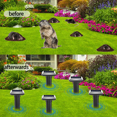 Solar ultrasound drives animals